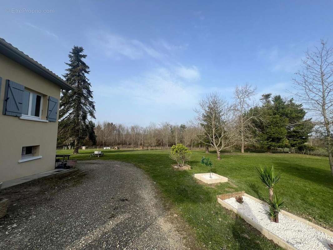 Maison 194 m² à Reans  - photo 9