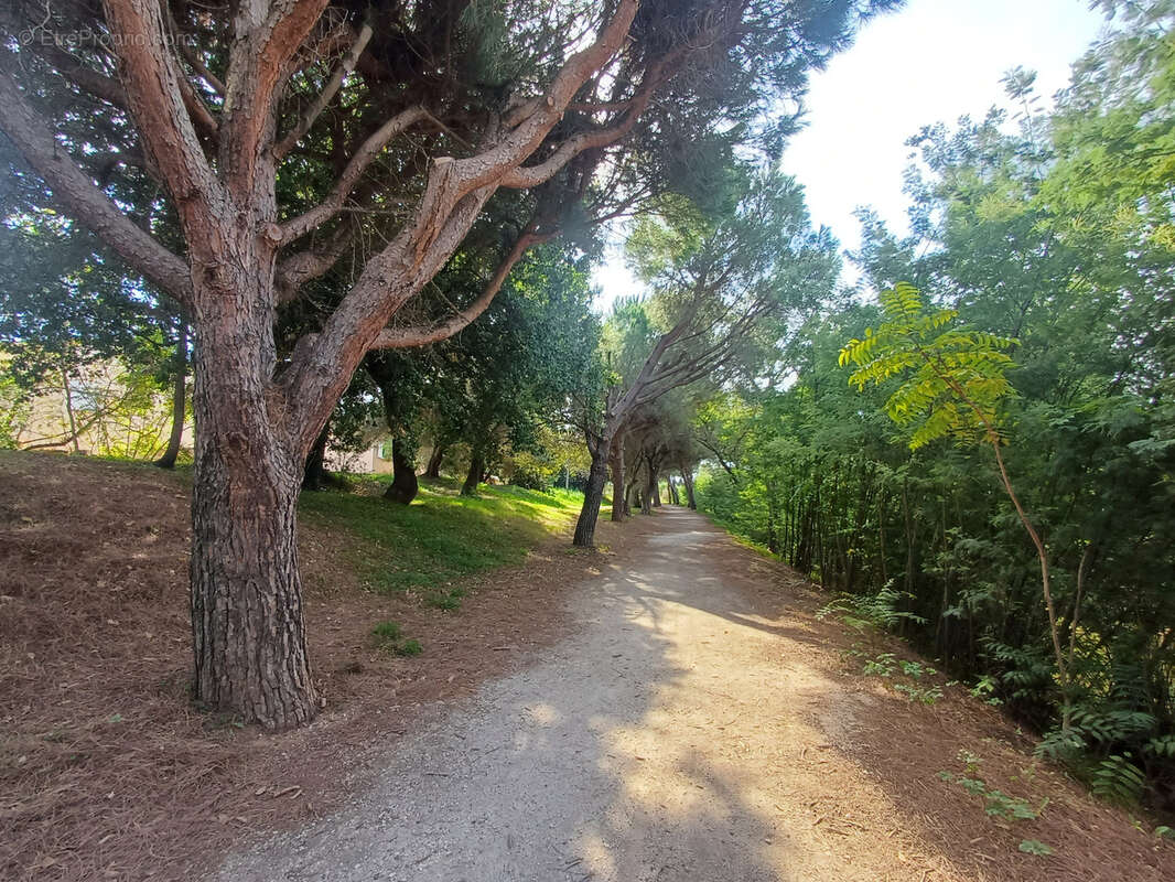Maison à LA LONDE-LES-MAURES