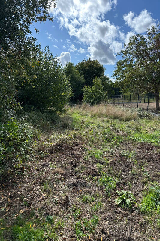 Terrain à LA BOISSIERE-ECOLE