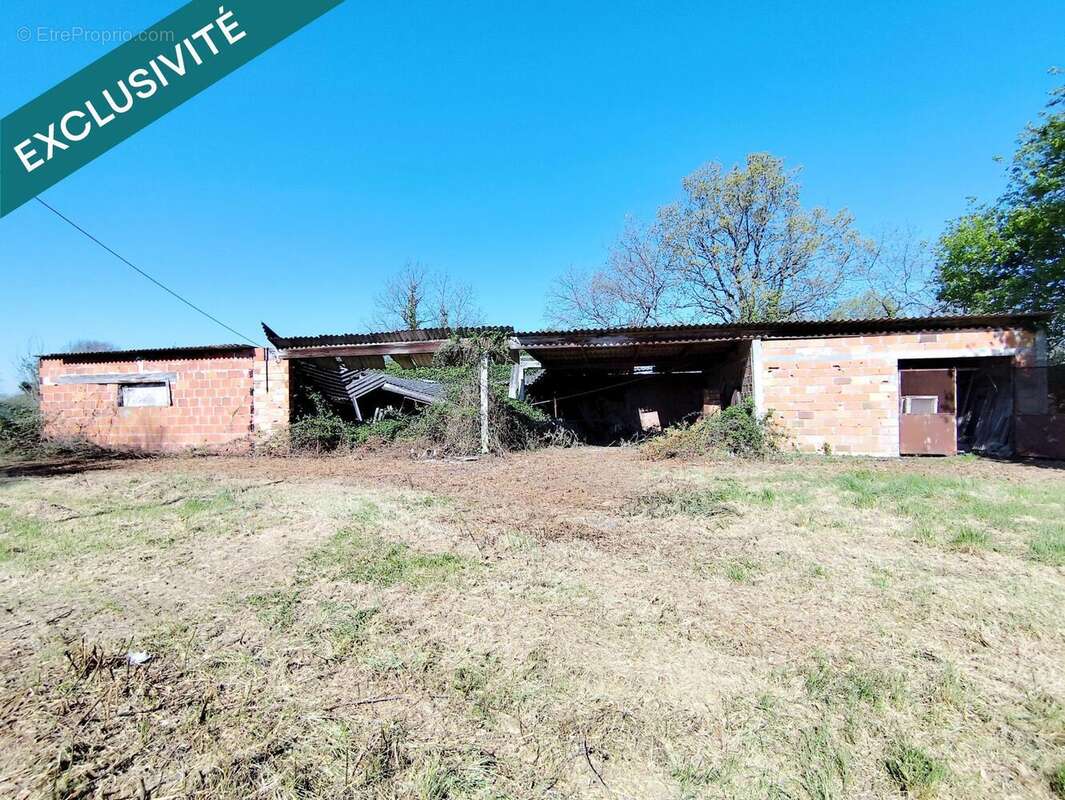 Photo 6 - Terrain à CASTELSARRASIN