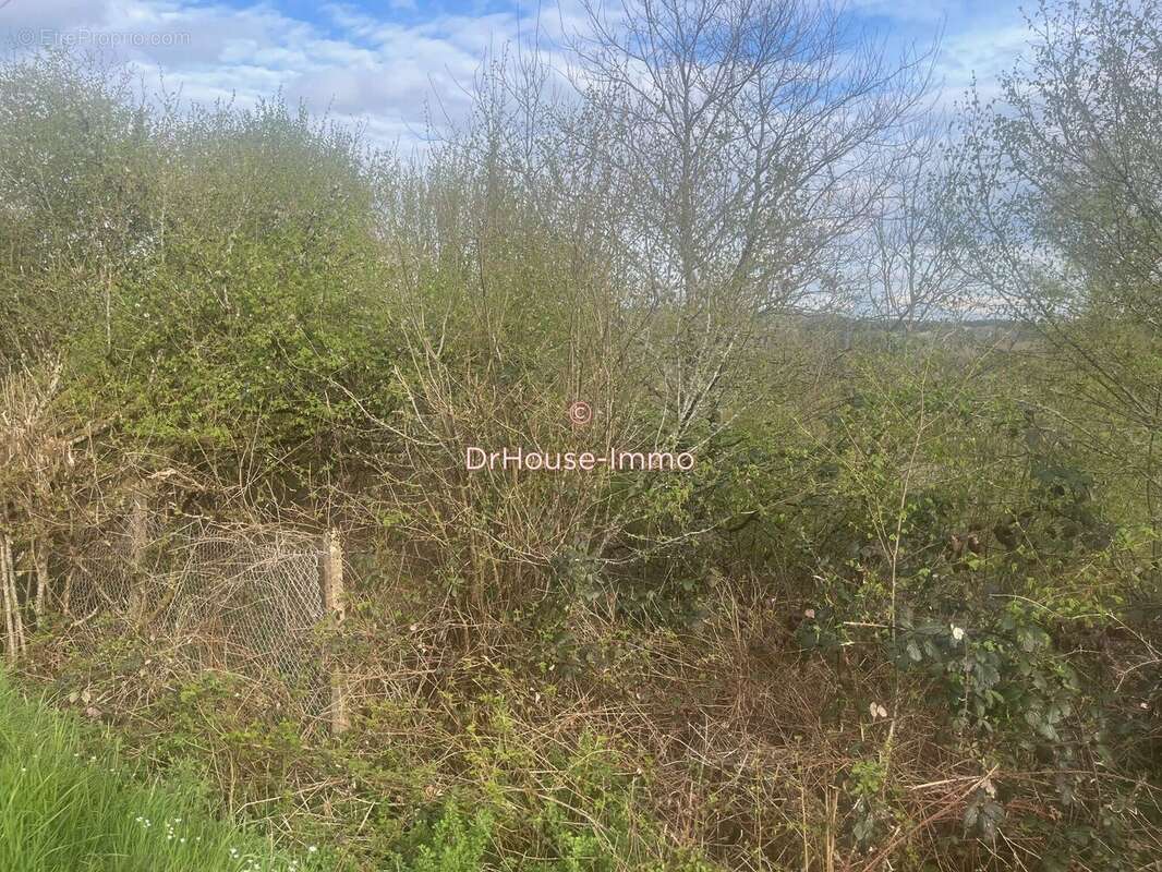 Terrain à MOUX-EN-MORVAN