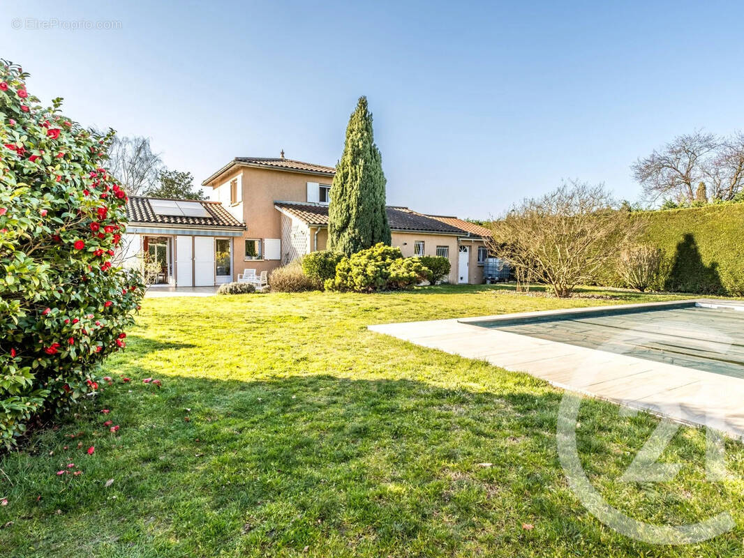 Maison à MONTMERLE-SUR-SAONE