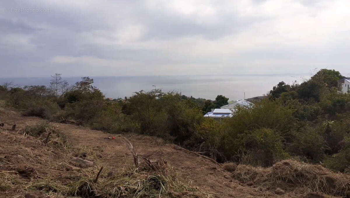 Terrain à VIEUX-HABITANTS