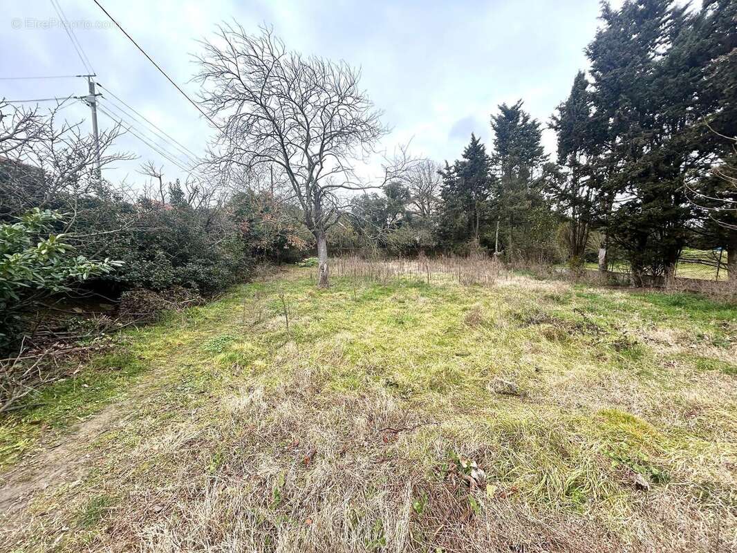 Photo 2 - Terrain à BRAM