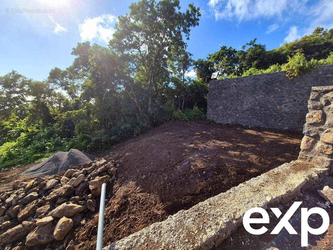 Terrain à SAINT-LEU