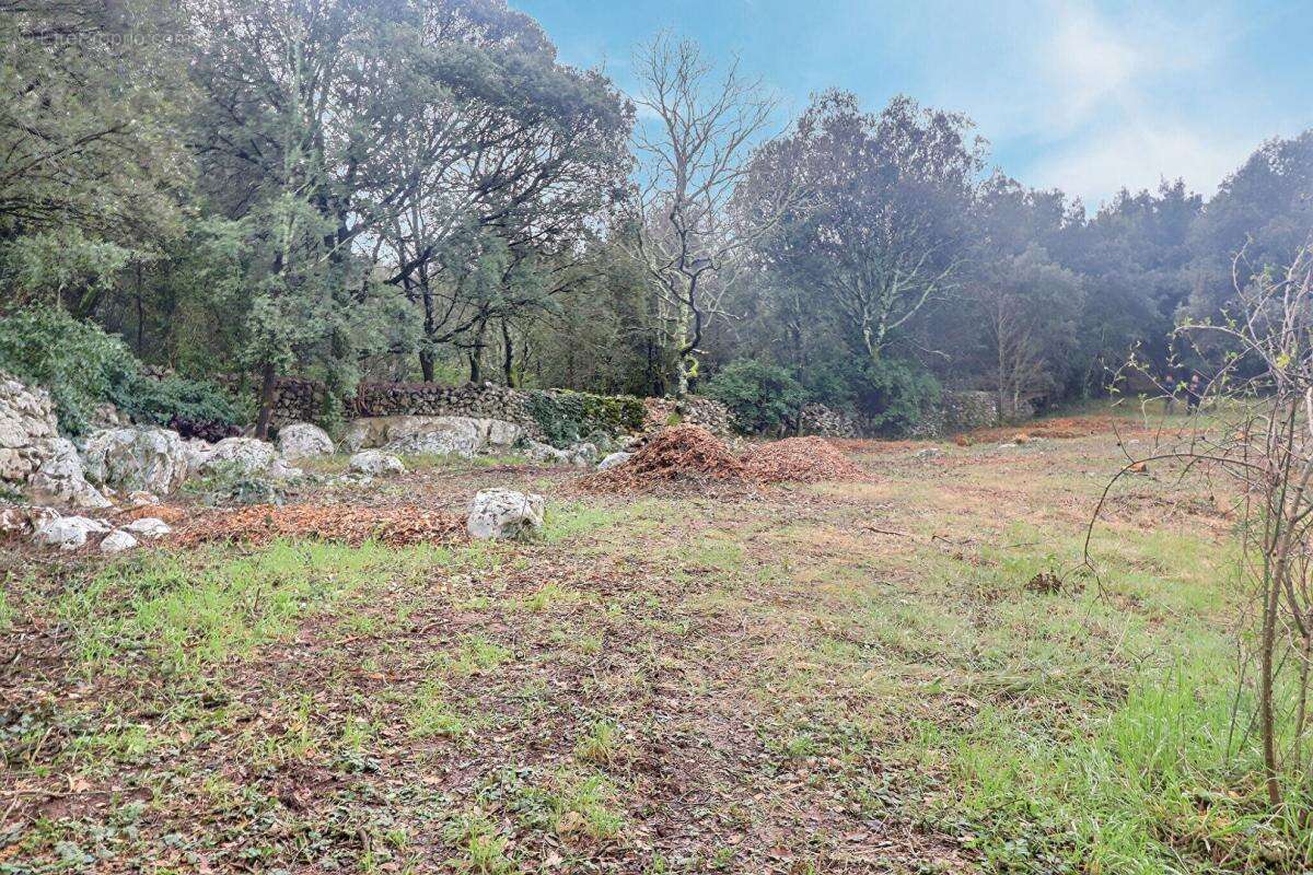 Terrain à VALLON-PONT-D&#039;ARC