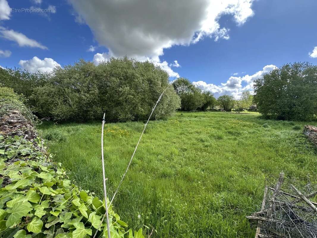 Terrain à SAINTE-VERGE