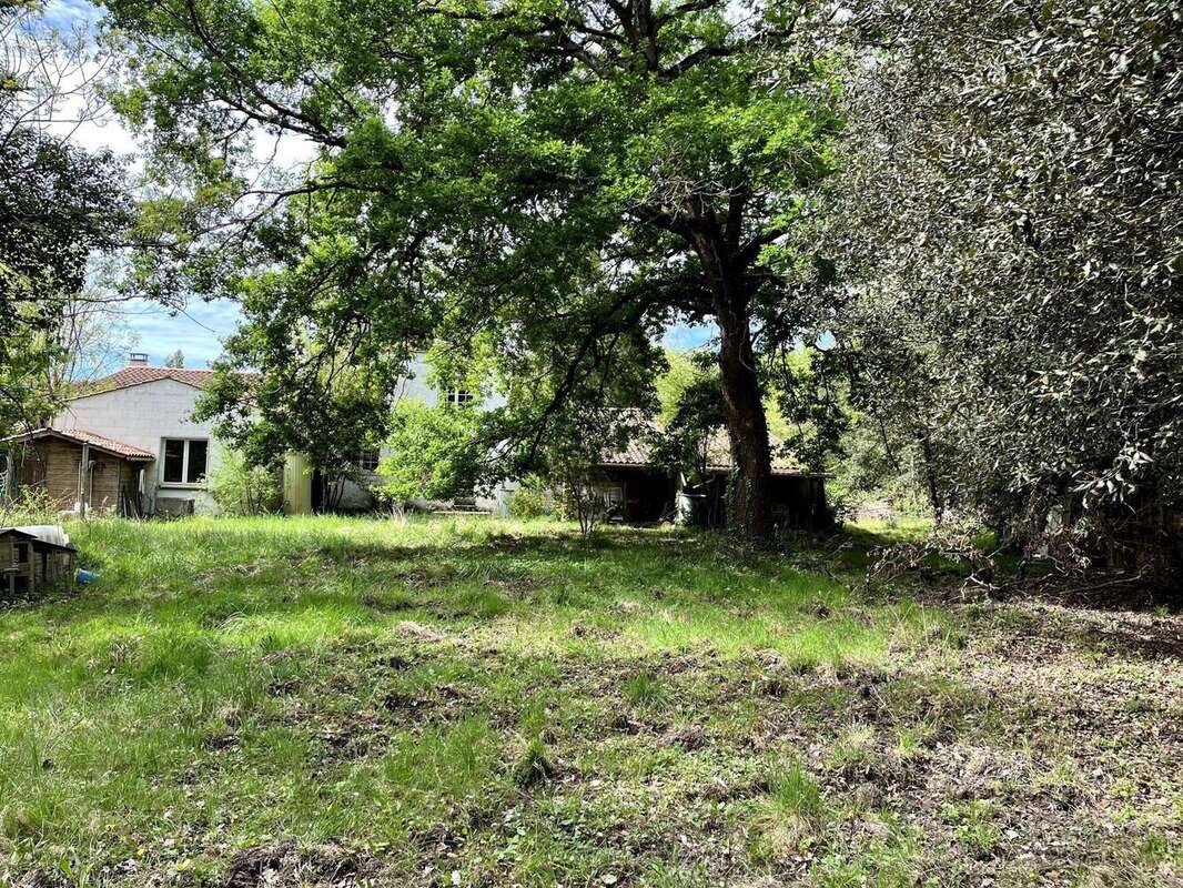 Photo 3 - Maison à LE CHATEAU-D&#039;OLERON