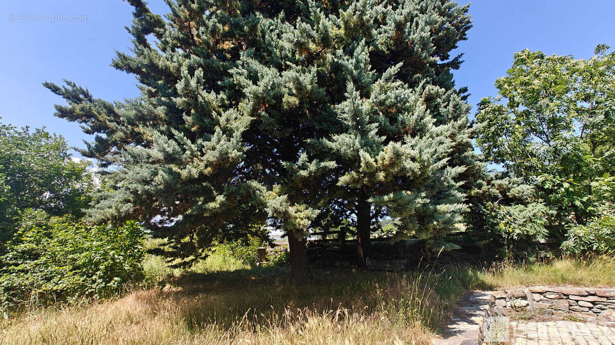 Maison à SAINT-ANDRE-D&#039;EMBRUN