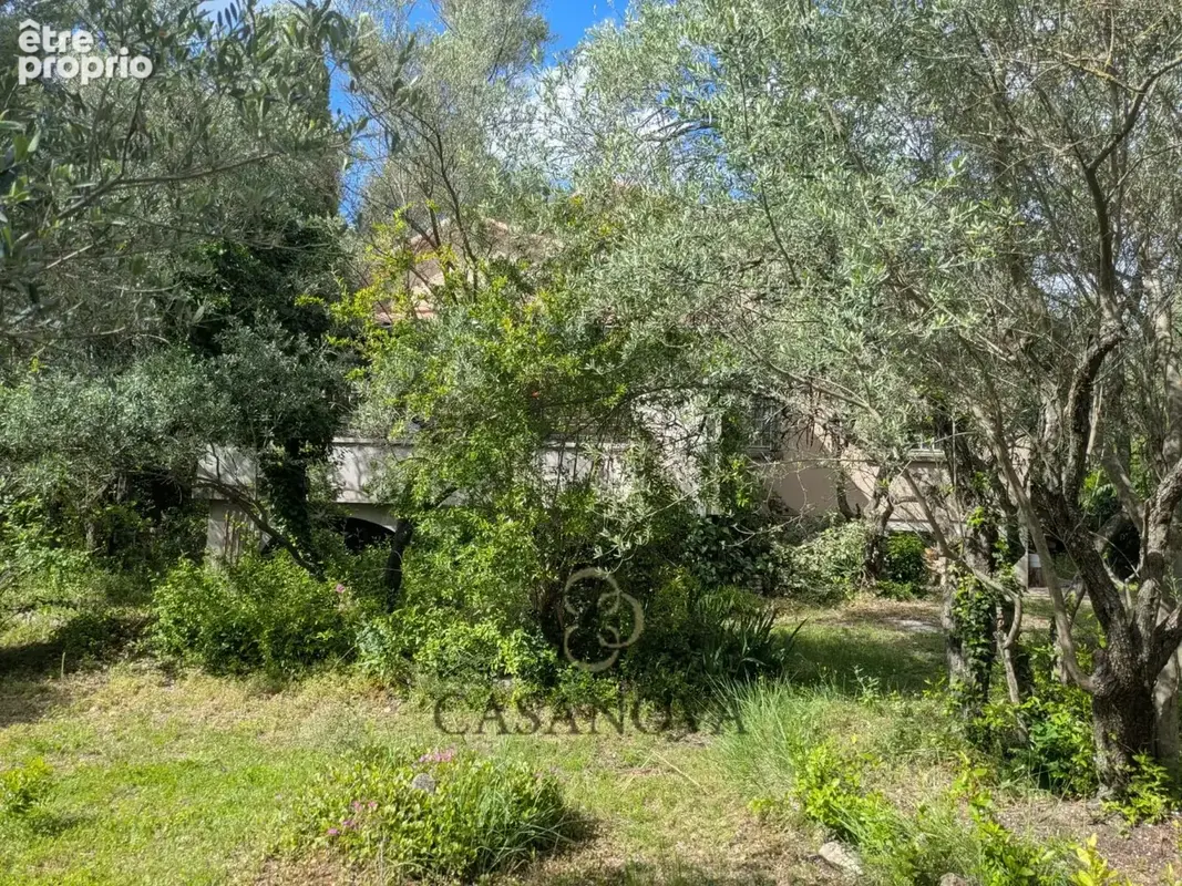 Villa familiale à rénover aux portes de Montpellier  terrain divisible, fort potentiel et jardin arboré - photo 4