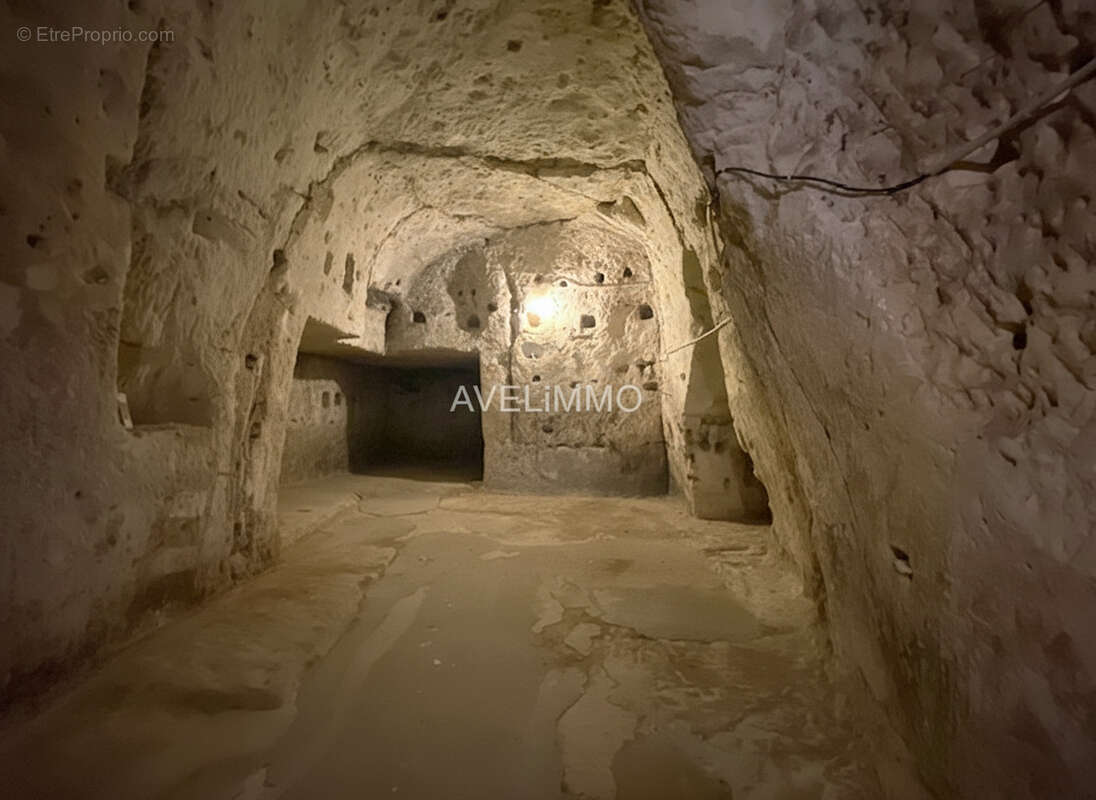 Maison semi-troglodyte avec cour plein sud - photo 19