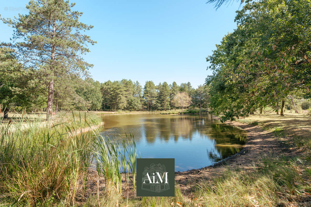 Propriété de prestige à vendre à Vannes- Domaine de plus de 3 hectares avec étang - photo 22