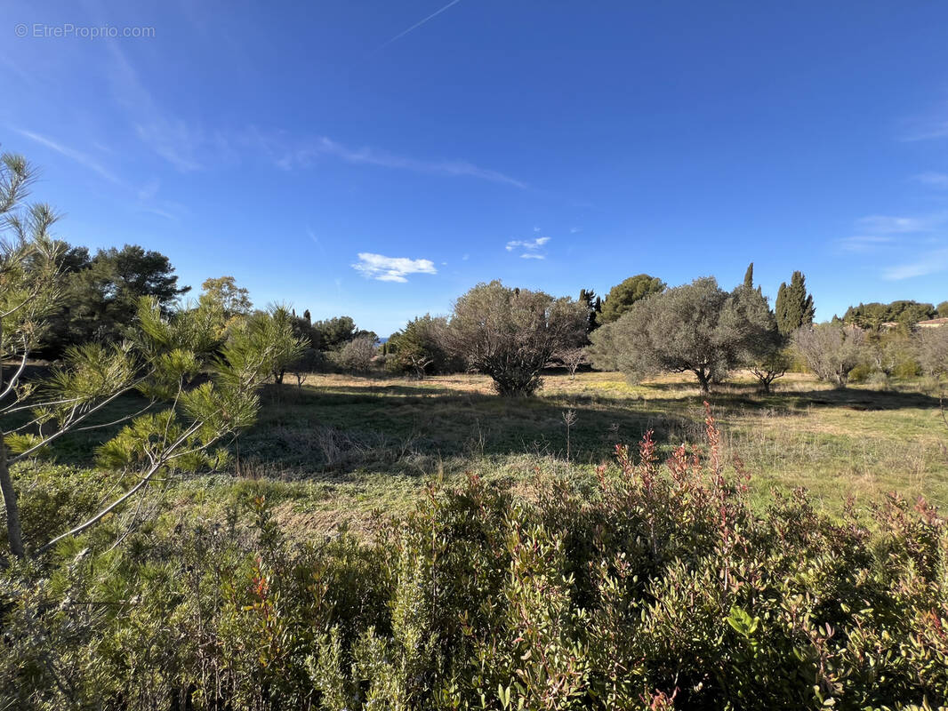 Terrain à SANARY-SUR-MER