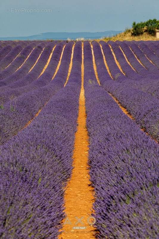 Terrain à VALENSOLE