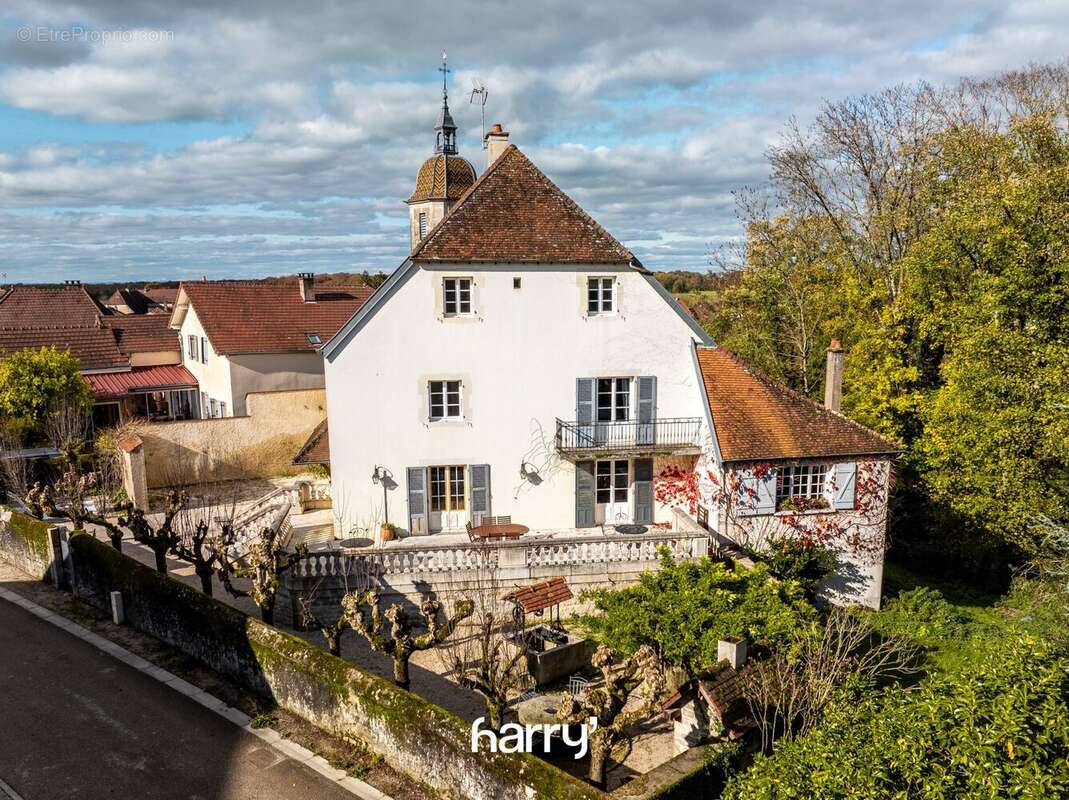 Maison 410 m² à Chevigny  - photo 3