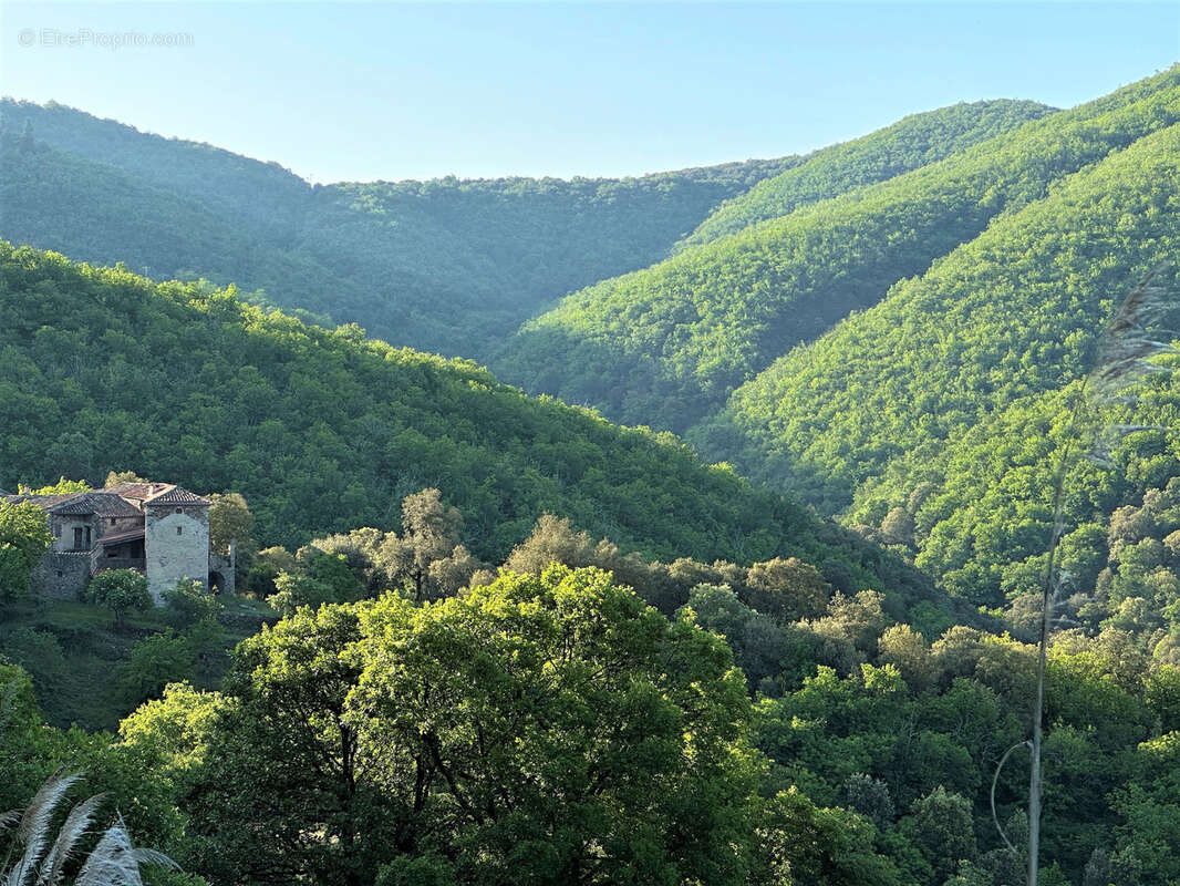 Maison à SAINT-ROMAN-DE-CODIERES
