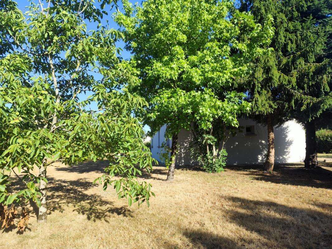 Maison de plain-pied - photo 13