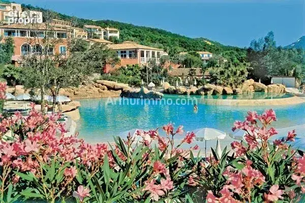 Grimaud - exclusivité : - photo 16