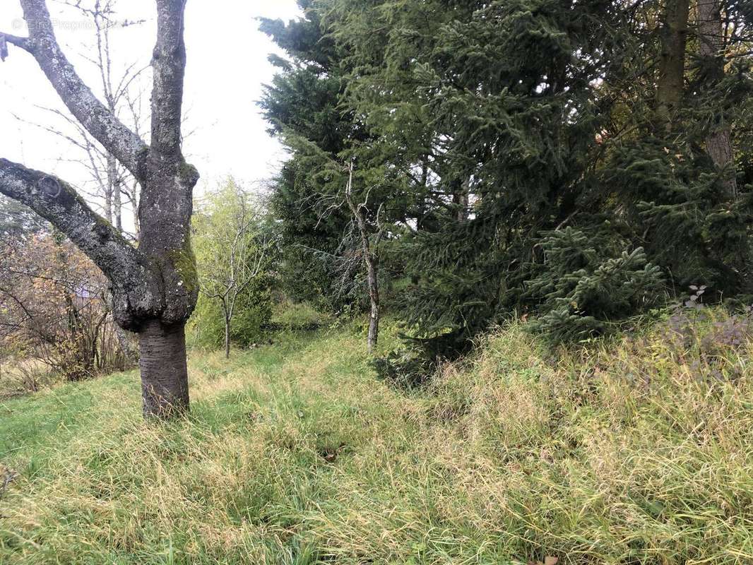 Photo 6 - Terrain à THIZY