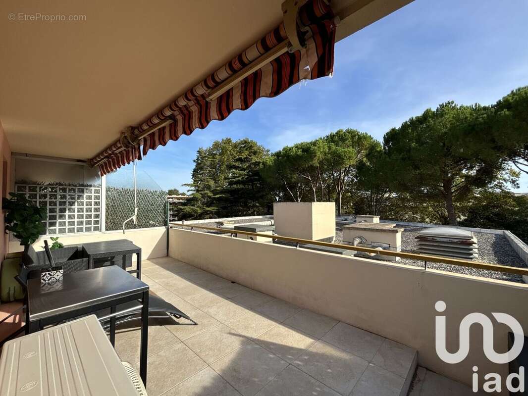 Photo 2 - Appartement à MANDELIEU-LA-NAPOULE