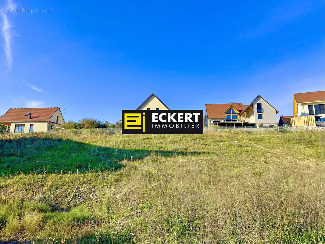 Terrain à ROSENWILLER