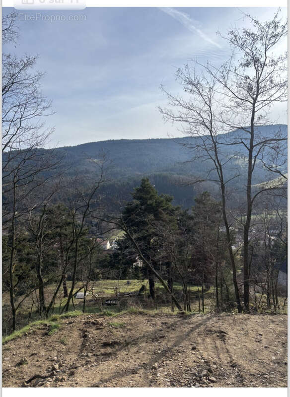 Terrain à VILLEVOCANCE