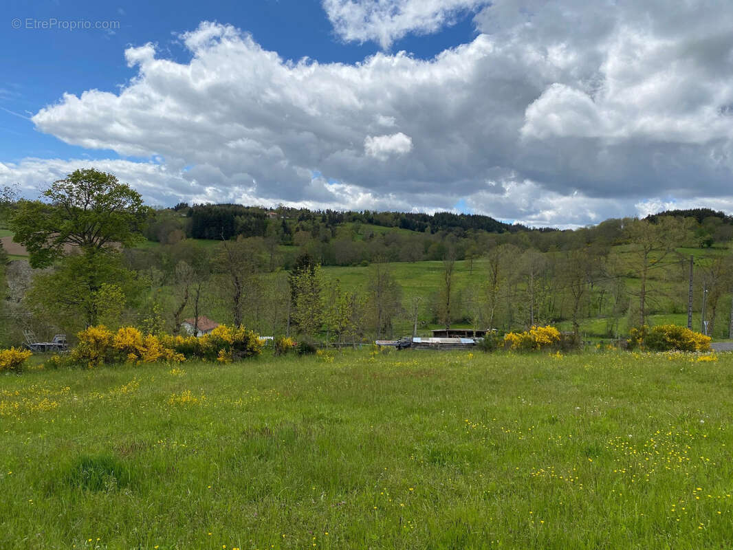 Terrain à CRAPONNE-SUR-ARZON
