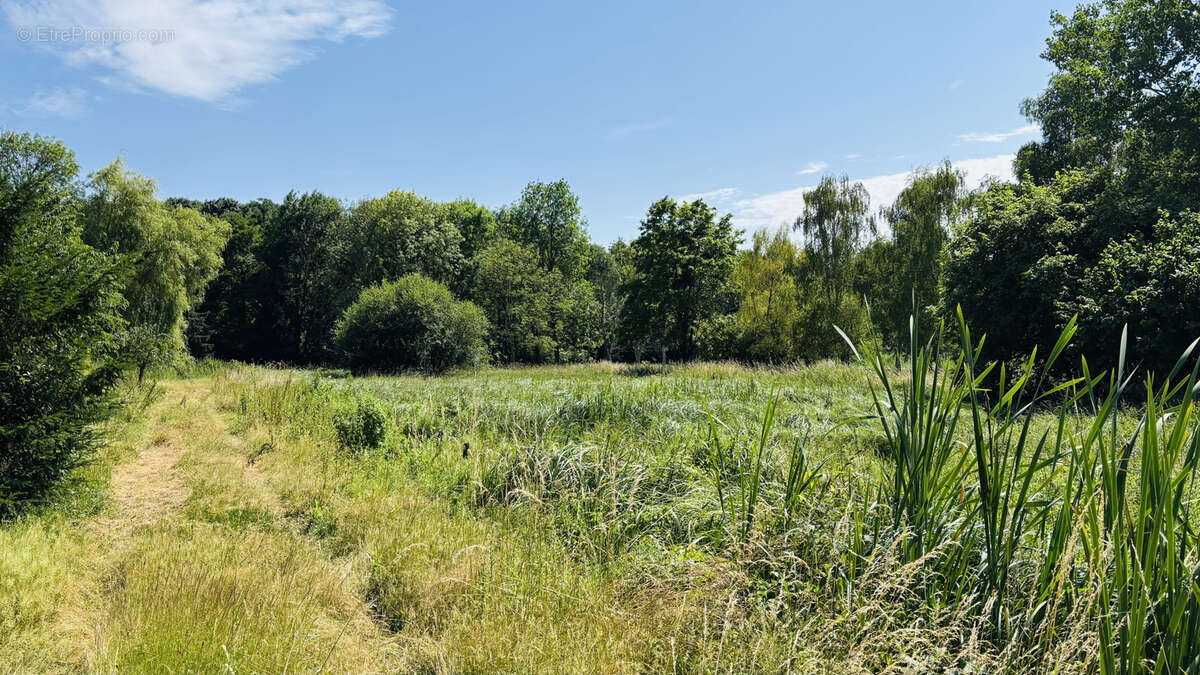 Terrain à CHATEAUDUN