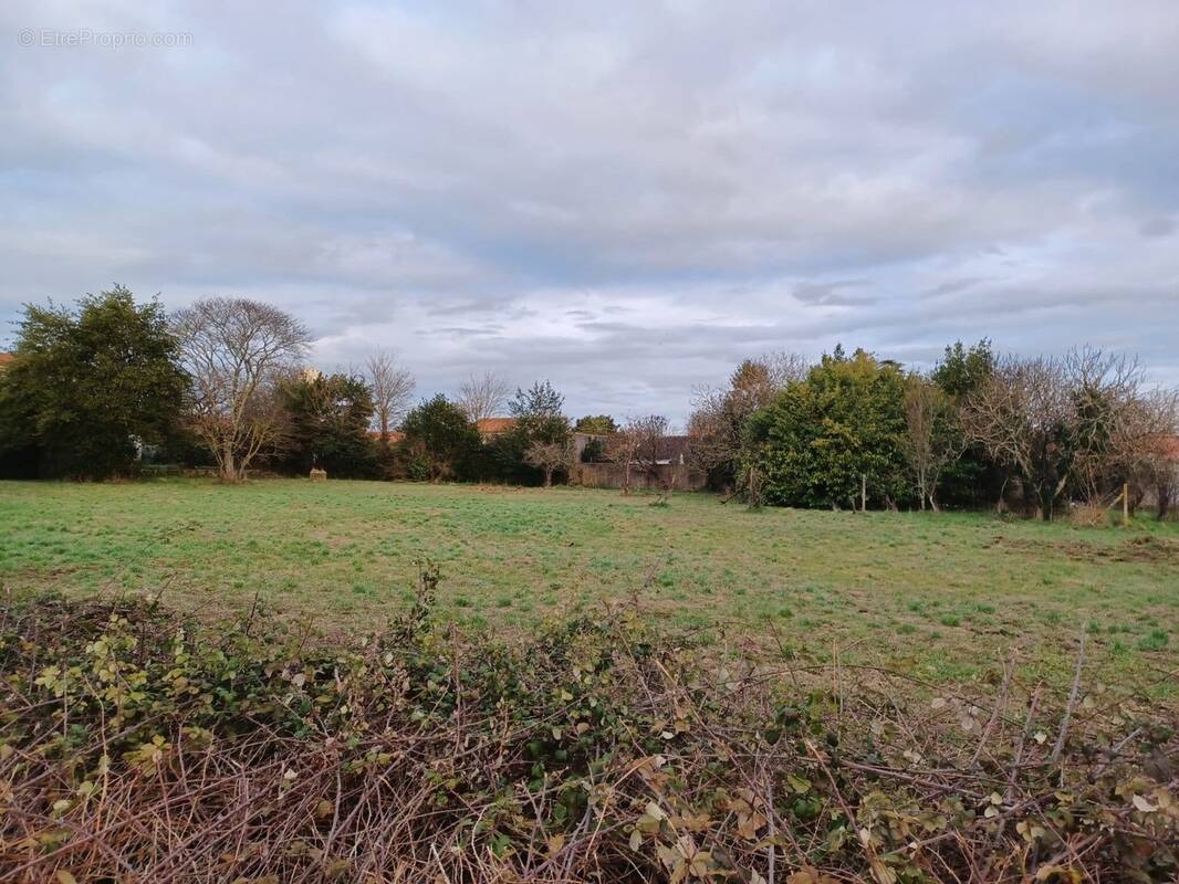 Terrain à LA ROCHELLE