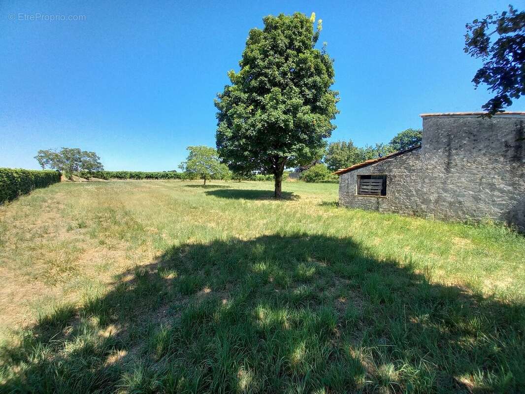 À seulement 10 minutes de Cognac  Grande maison familiale de 215 m² avec terrain constructible de 2 500 m²  DPE C - photo 19