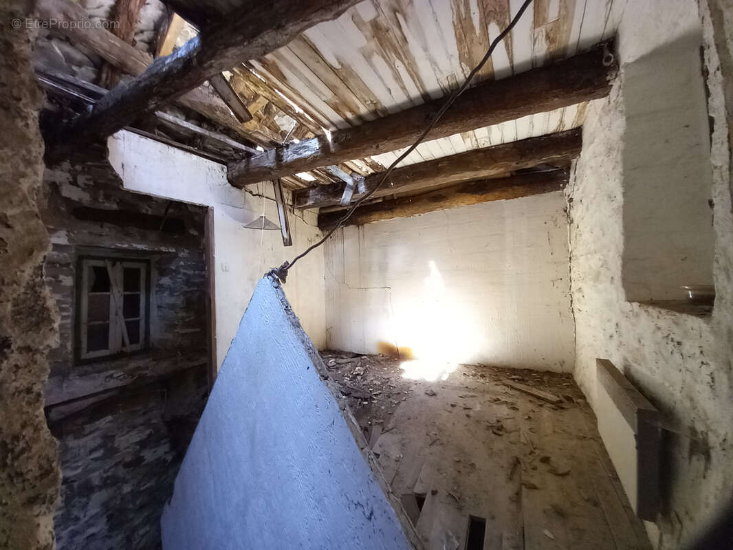 Unique ! ancienne Ferme à rénover sur 15Ha de patures et bois . - photo 25