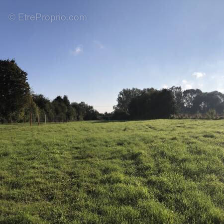 Terrain à SAINT-VALERY-SUR-SOMME