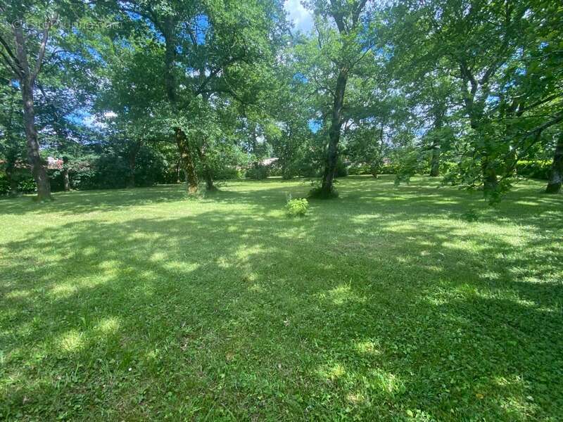 Maison à SAINT-PIERRE-DU-MONT