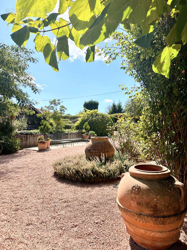 Maison à MONTAIGUET-EN-FOREZ