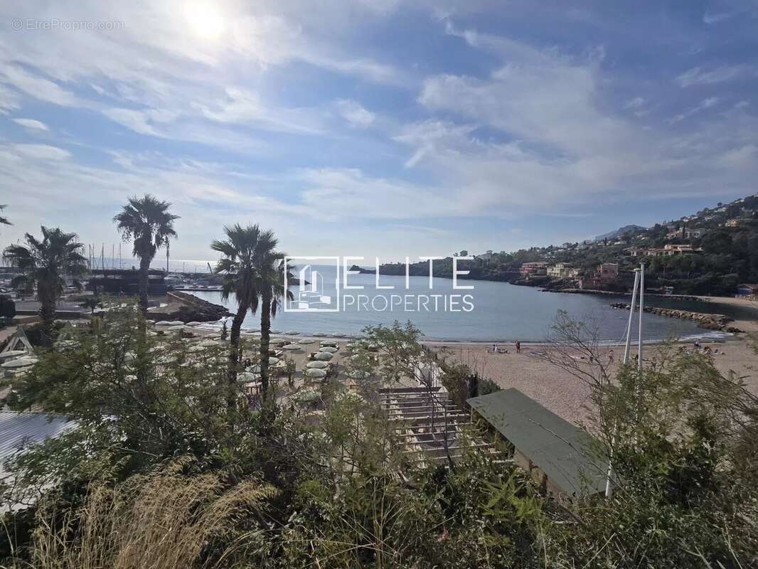 Terrain à THEOULE-SUR-MER