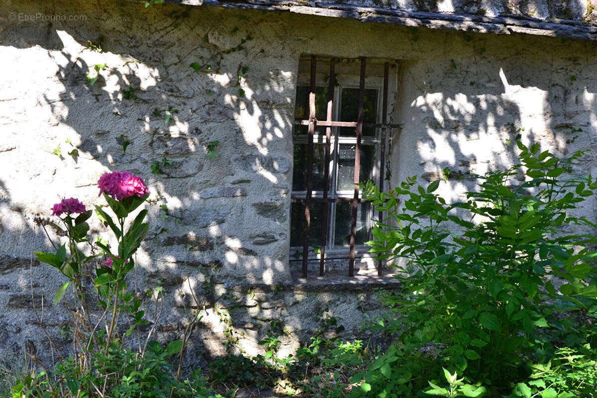 Courniou dans hameau Maison  ancienne avec joli jardin - photo 4