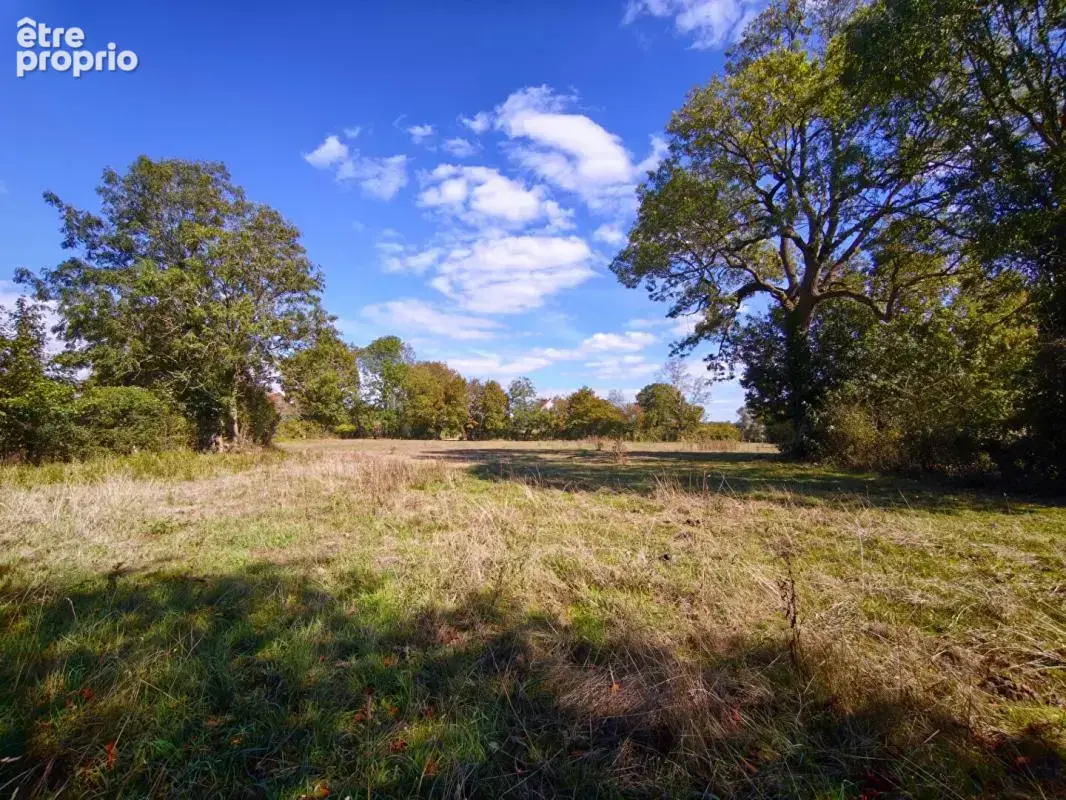Maison de caractère, dépendances et 7 100 m² de terrain - photo 3