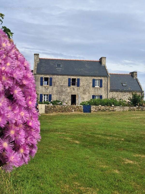 Maison à OUESSANT