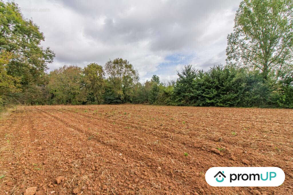 Terrain à CHERVEIX-CUBAS