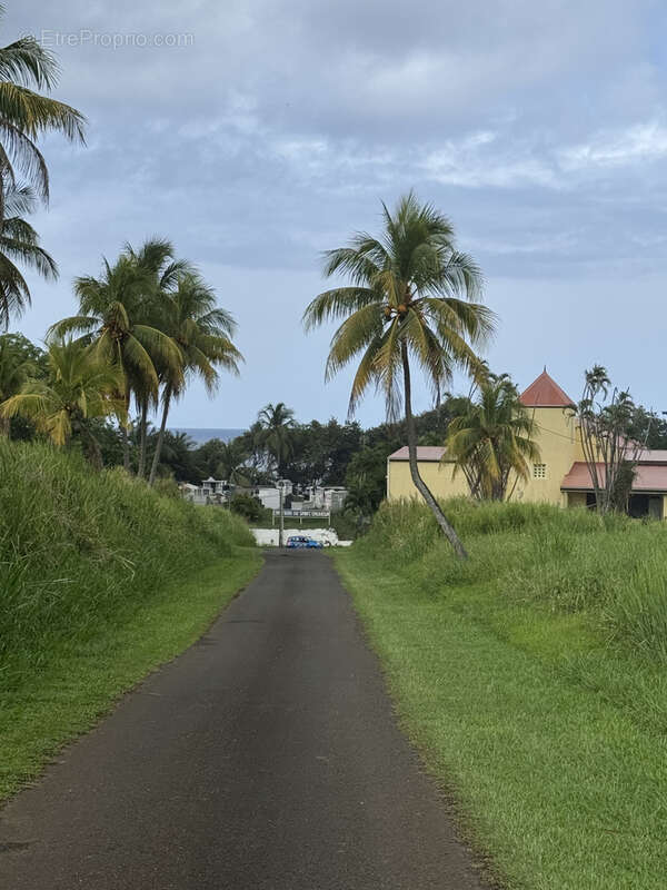 Terrain à CAPESTERRE-BELLE-EAU