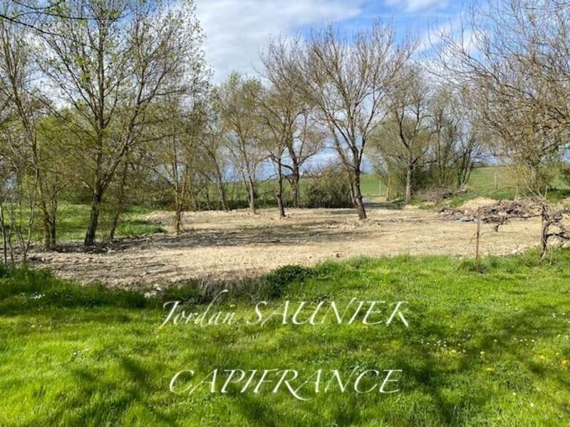 Dpt Haute Garonne (31), à vendre SAINT-JULIA Terrain - Terrain de 2500 m² - photo 6
