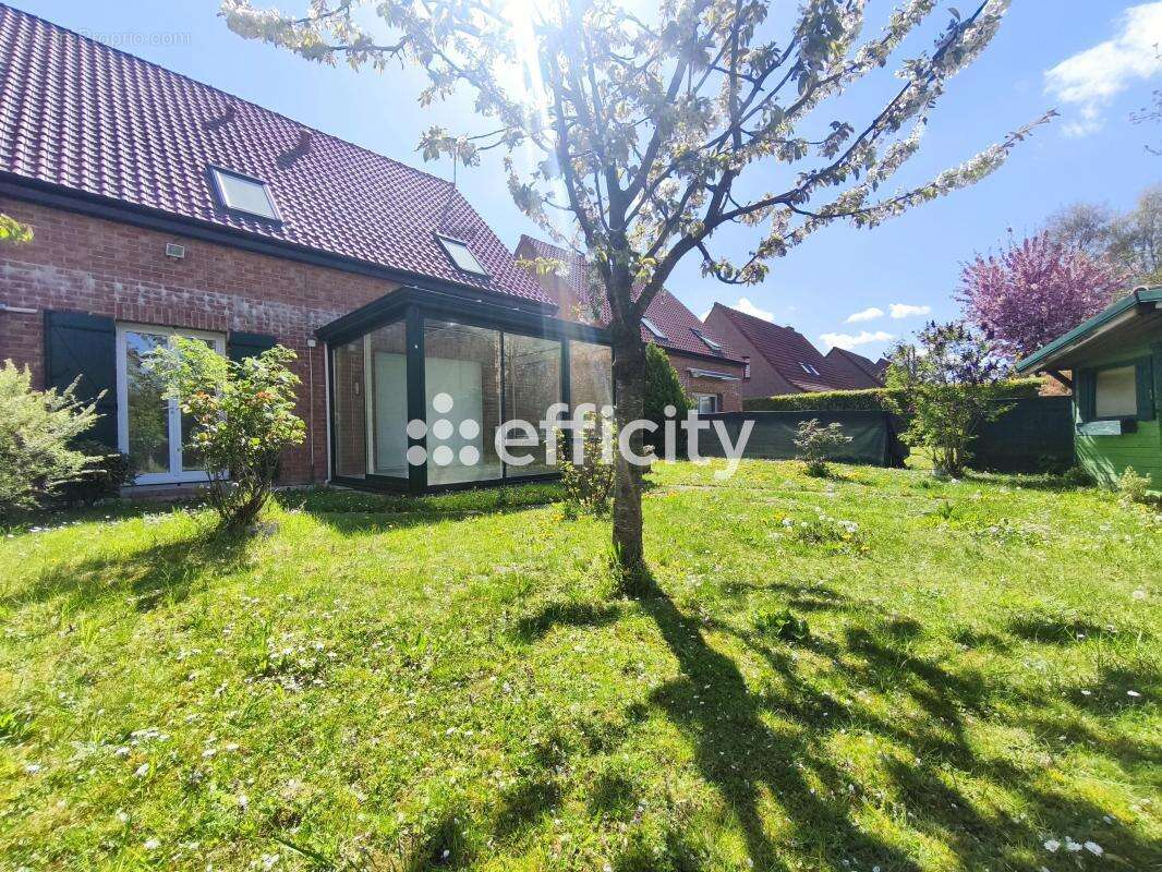 Maison à PERENCHIES