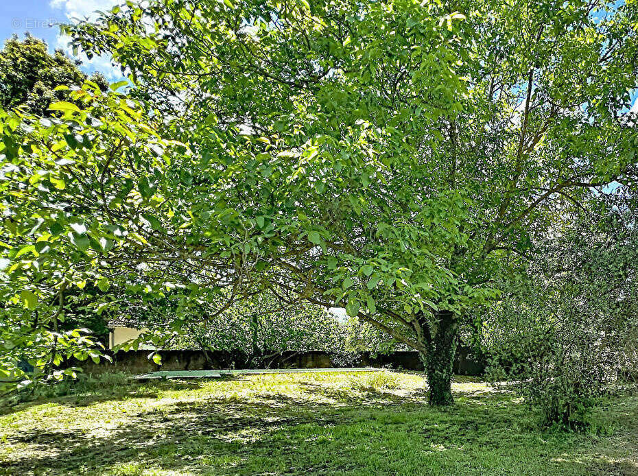 Maison à CADENET