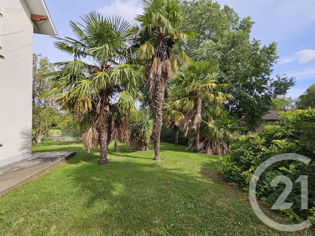 Maison à BAIGTS-DE-BEARN