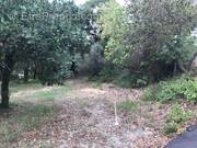 Terrain à SAINT-DREZERY