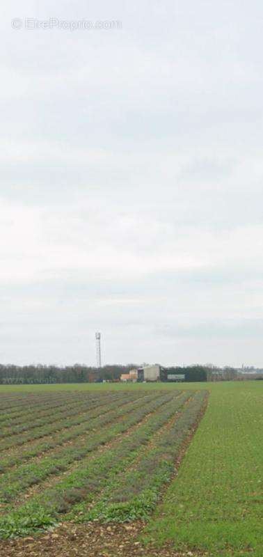 Terrain à SAINTE-SOULLE