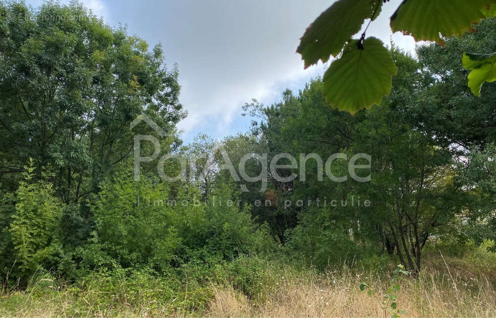 Terrain à SAINT-PALAIS-SUR-MER