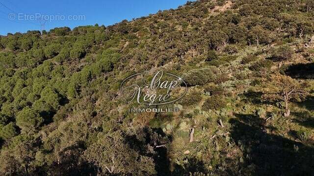 Terrain à BORMES-LES-MIMOSAS