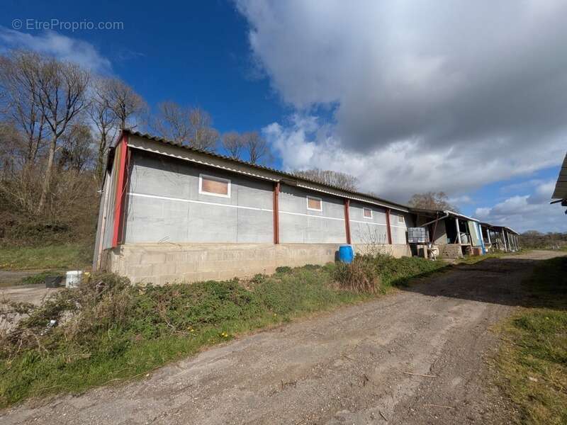 Kernascleden propriété composée d'une maison à usage d'habitation de 6 pièces 178 m² envion un hangar de 161m² envion, une ancie - photo 27
