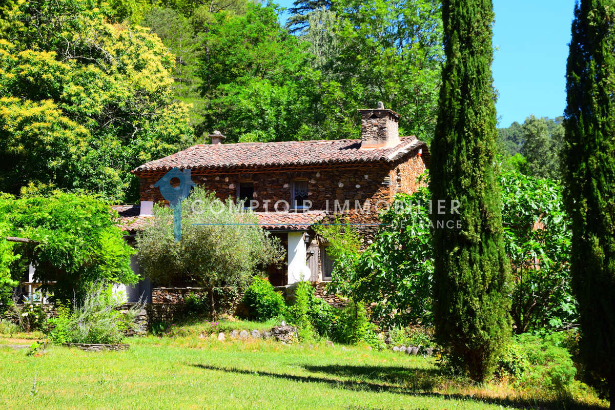 Dépt. 30 -   Mas en pierres de 220 m2 à CHAMBORIGAUD - Parcelles de 1,10 ha - photo 10